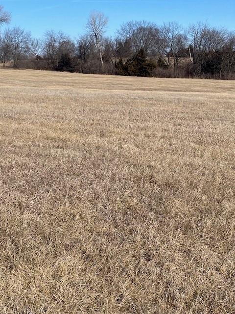 Listing Photo MLS #HMS2597989