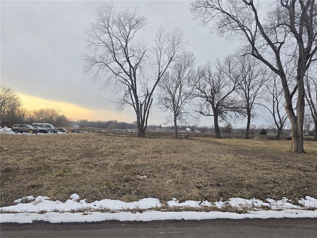 Listing Photo MLS #HMS2598992