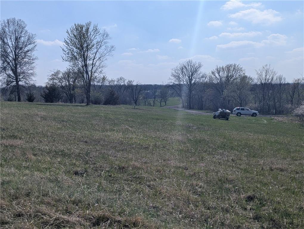 Listing Photo MLS #HMS2601017