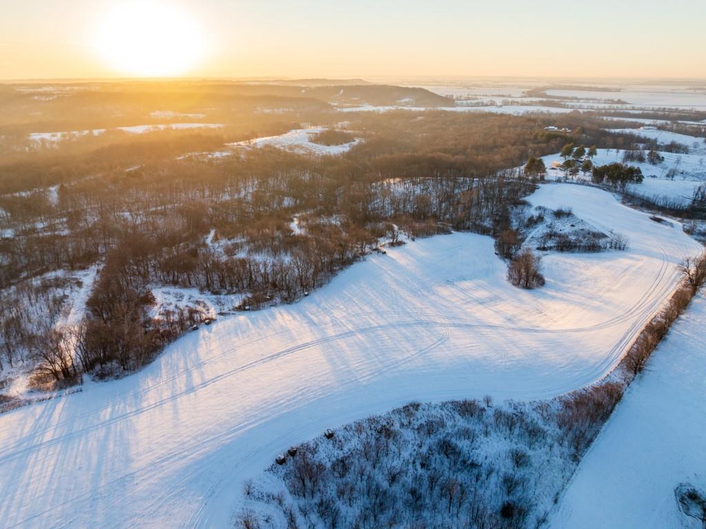 Listing Photo MLS #HMS2601056