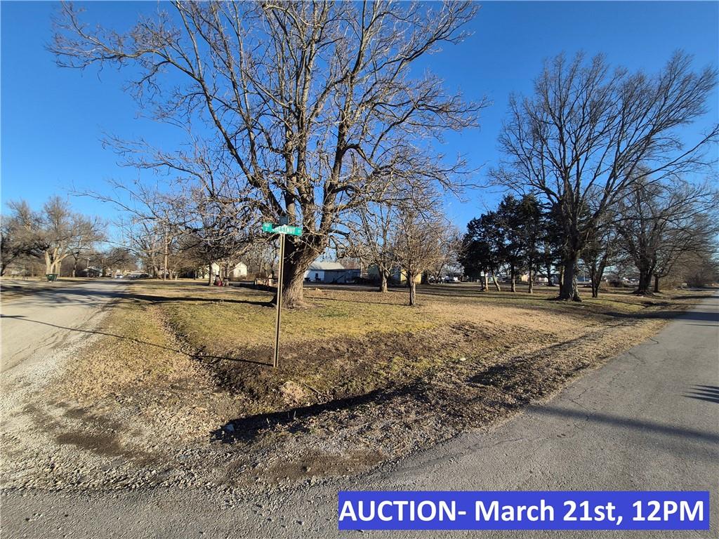 Listing Photo MLS #HMS2601876