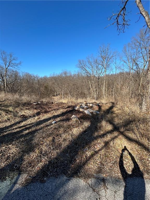 Listing Photo MLS #HMS2603172