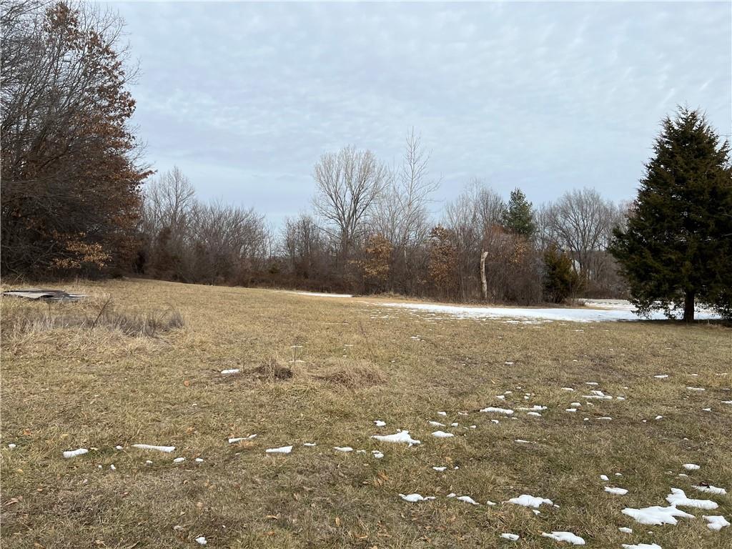 Listing Photo MLS #HMS2603293