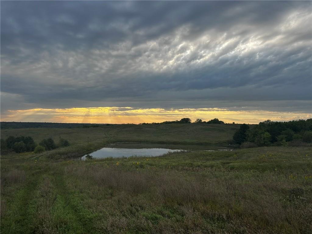 Listing Photo MLS #HMS2603719