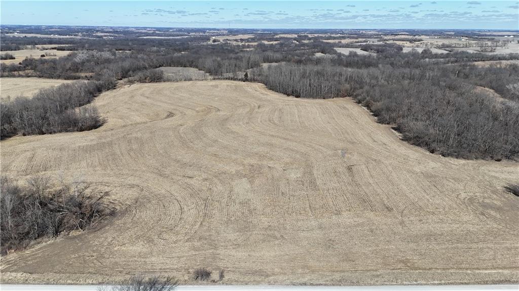 Listing Photo MLS #HMS2604297