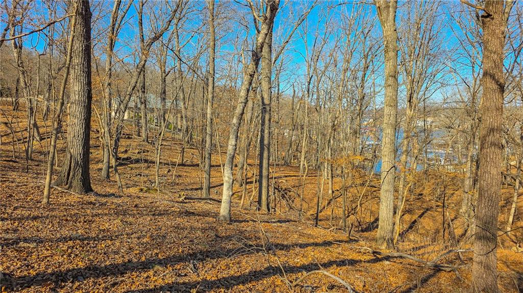 Listing Photo MLS #HMS2606159