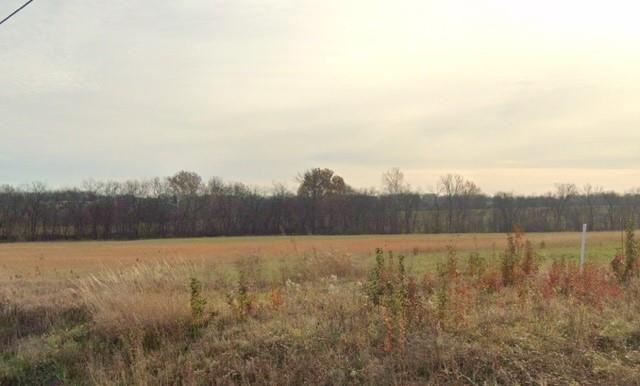 Listing Photo MLS #HMS2606276