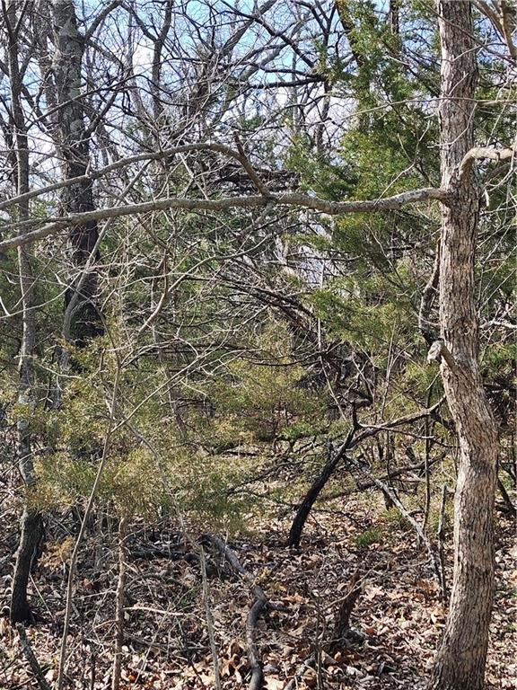 Listing Photo MLS #HMS2606965