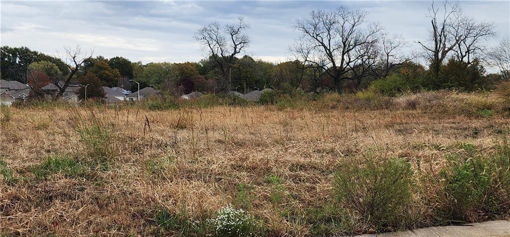 Listing Photo MLS #HMS2607223