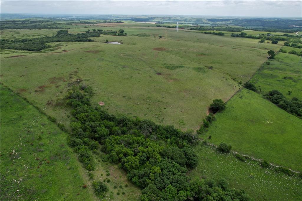 Listing Photo MLS #HMS2607747