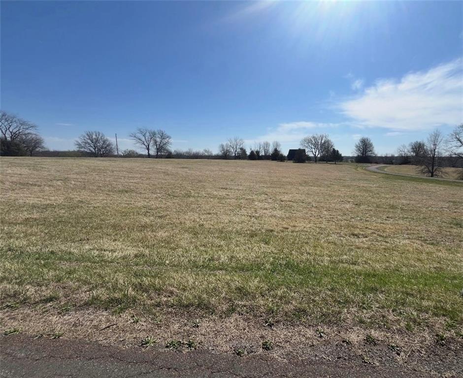 Listing Photo MLS #HMS2608281