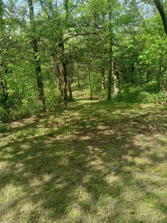 Listing Photo MLS #HMS2608290