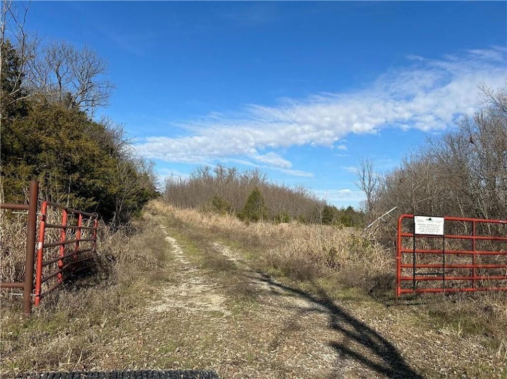 Listing Photo MLS #HMS2608746