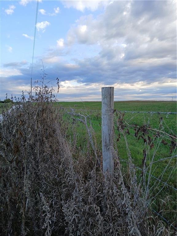 Listing Photo MLS #HMS2608768