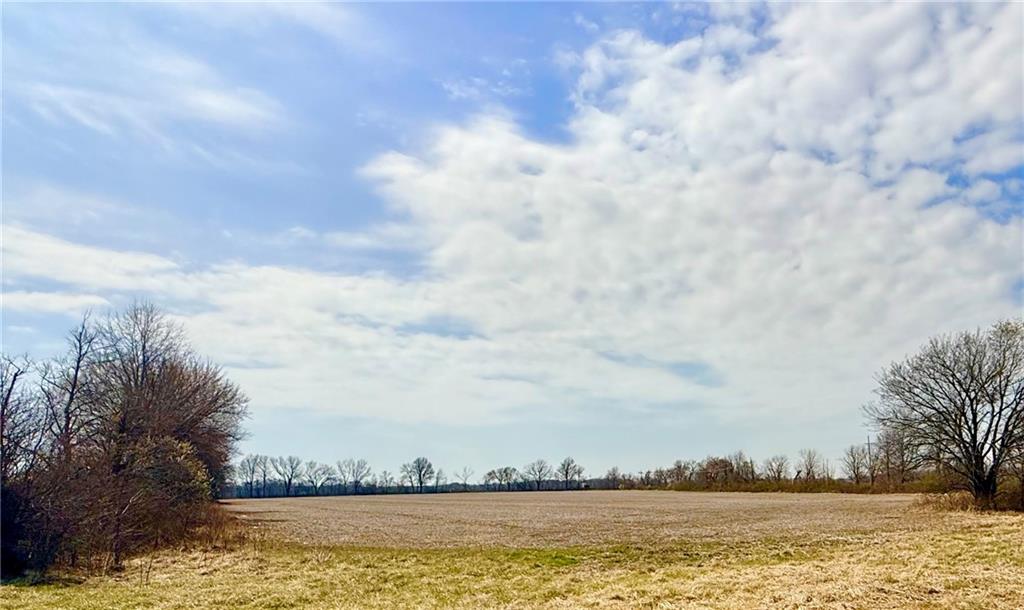 Listing Photo MLS #HMS2608946