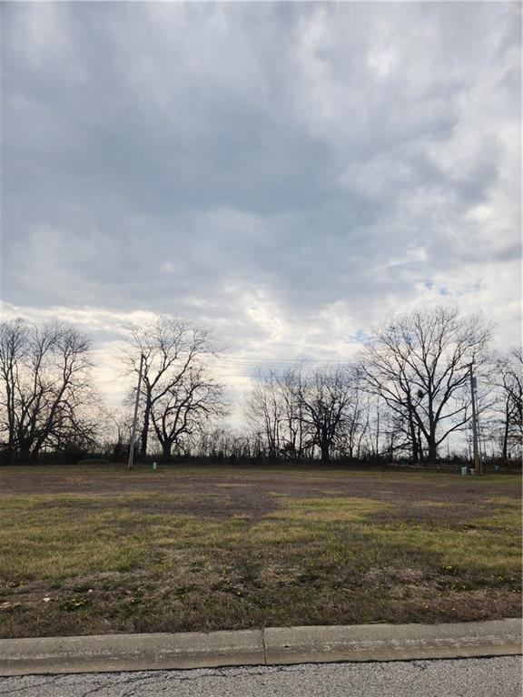 Listing Photo MLS #HMS2609033