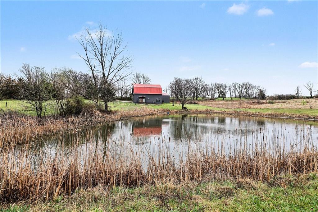 Listing Photo MLS #HMS2609349