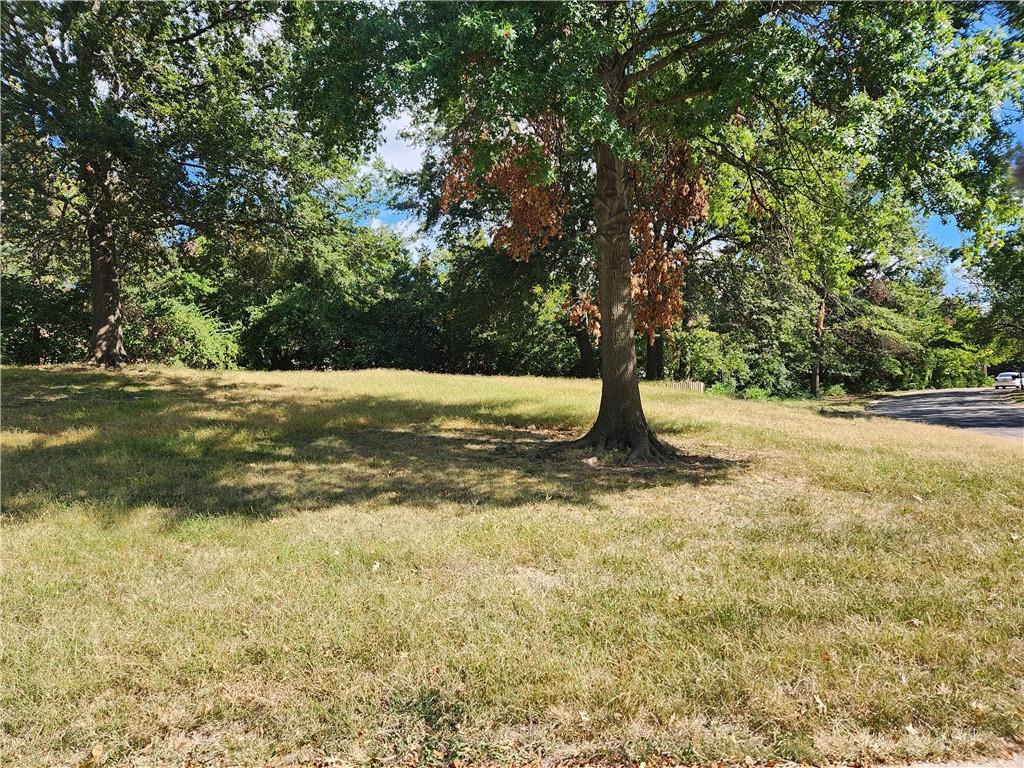 Listing Photo MLS #HMS2609394