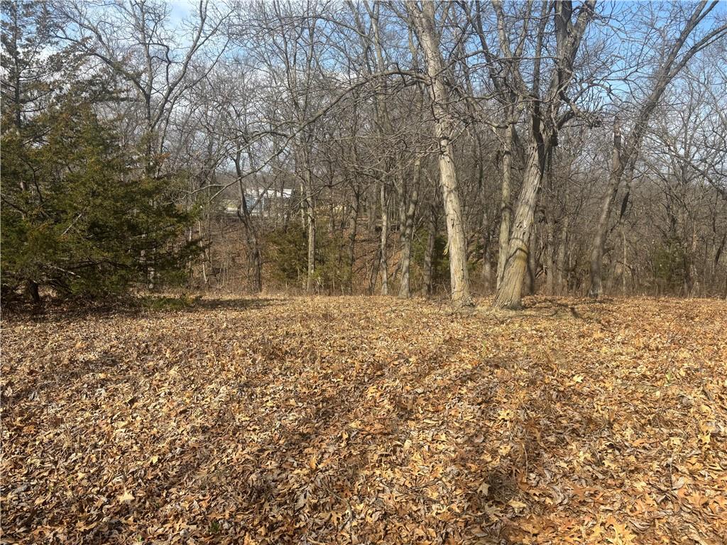Listing Photo MLS #HMS2609451