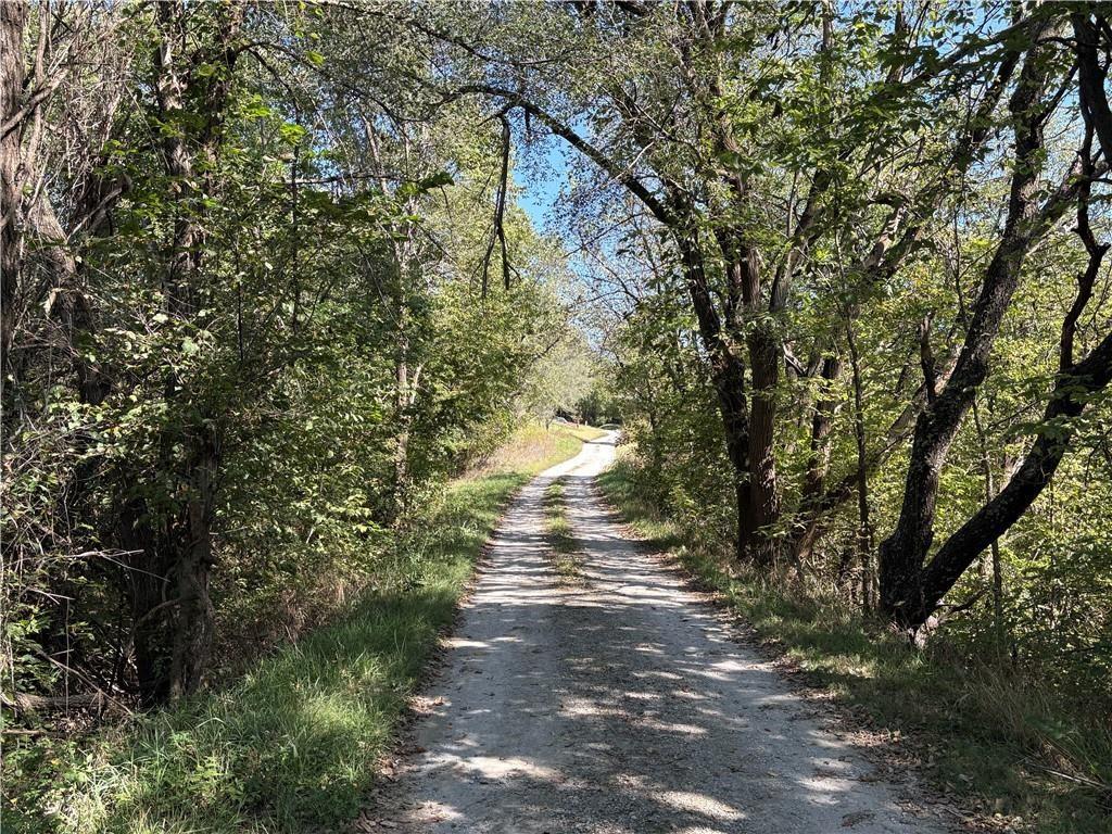 Listing Photo MLS #HMS2609682