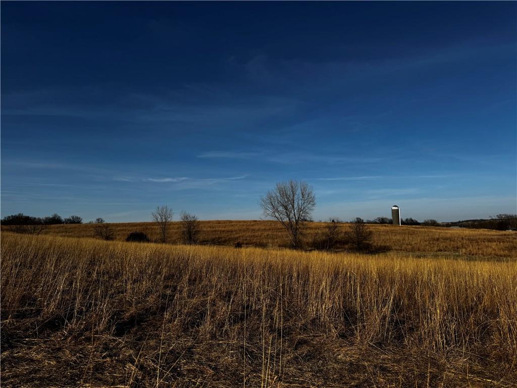 Listing Photo MLS #HMS2609882