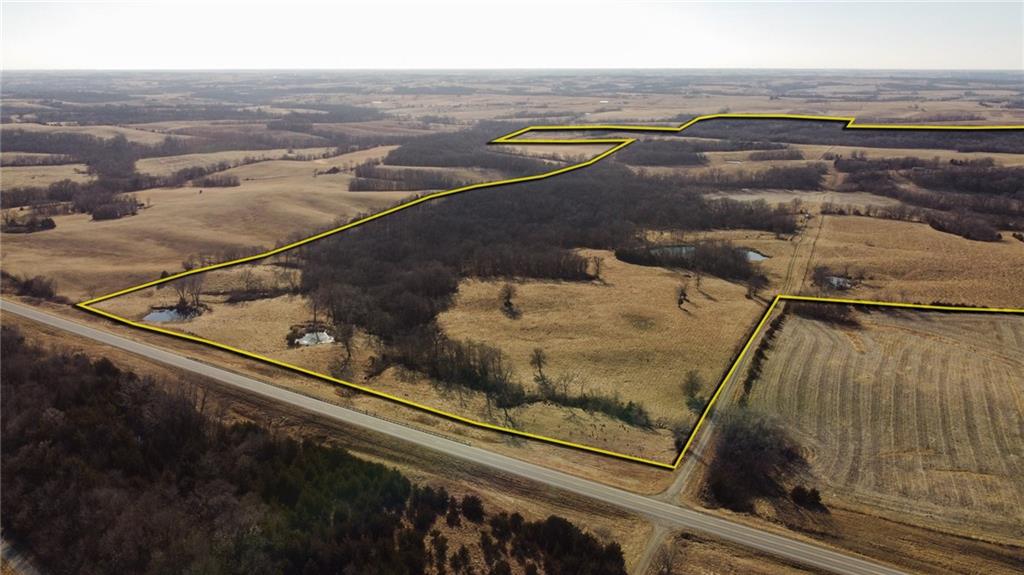 Listing Photo MLS #HMS2610442