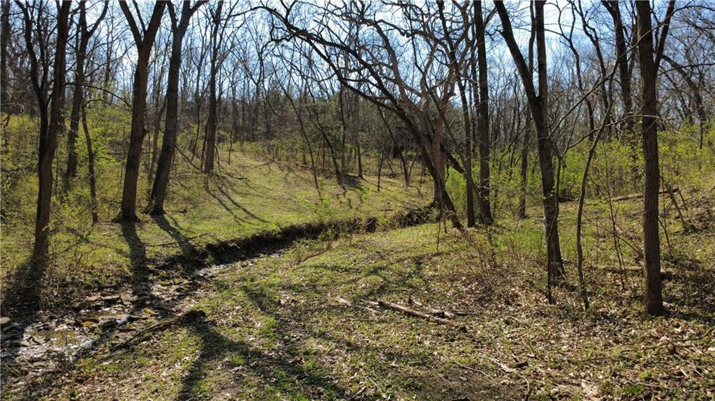 Listing Photo MLS #HMS2610558