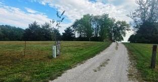 Listing Photo MLS #HMS2610659