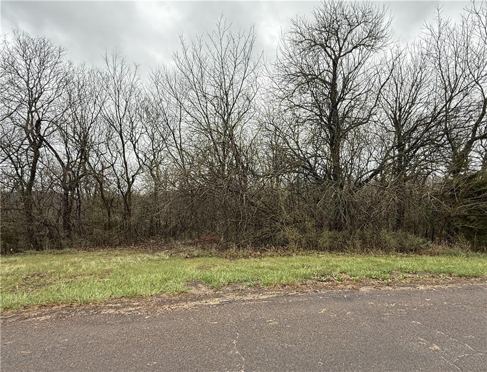 Listing Photo MLS #HMS2611831