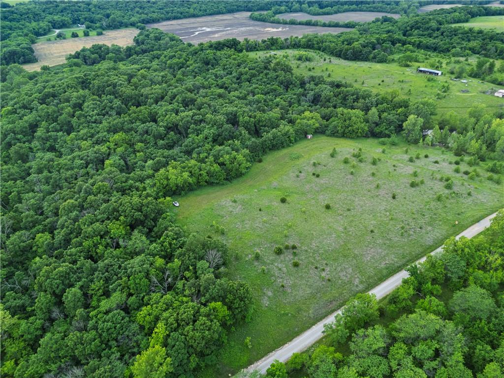 Listing Photo MLS #HMS2611853