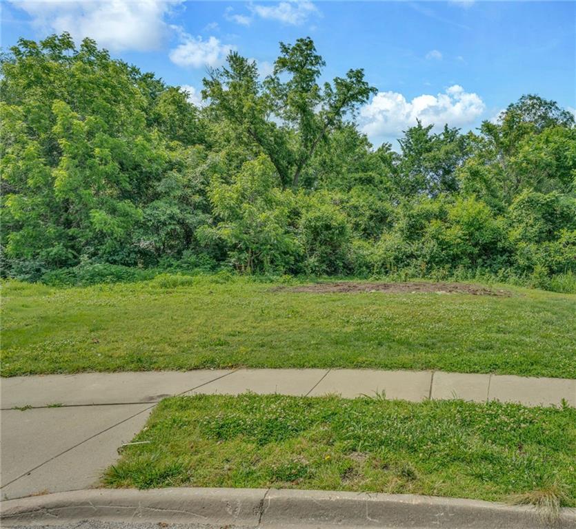 Listing Photo MLS #HMS2612120