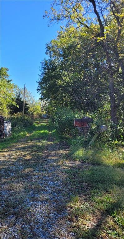 Listing Photo MLS #HMS2612593