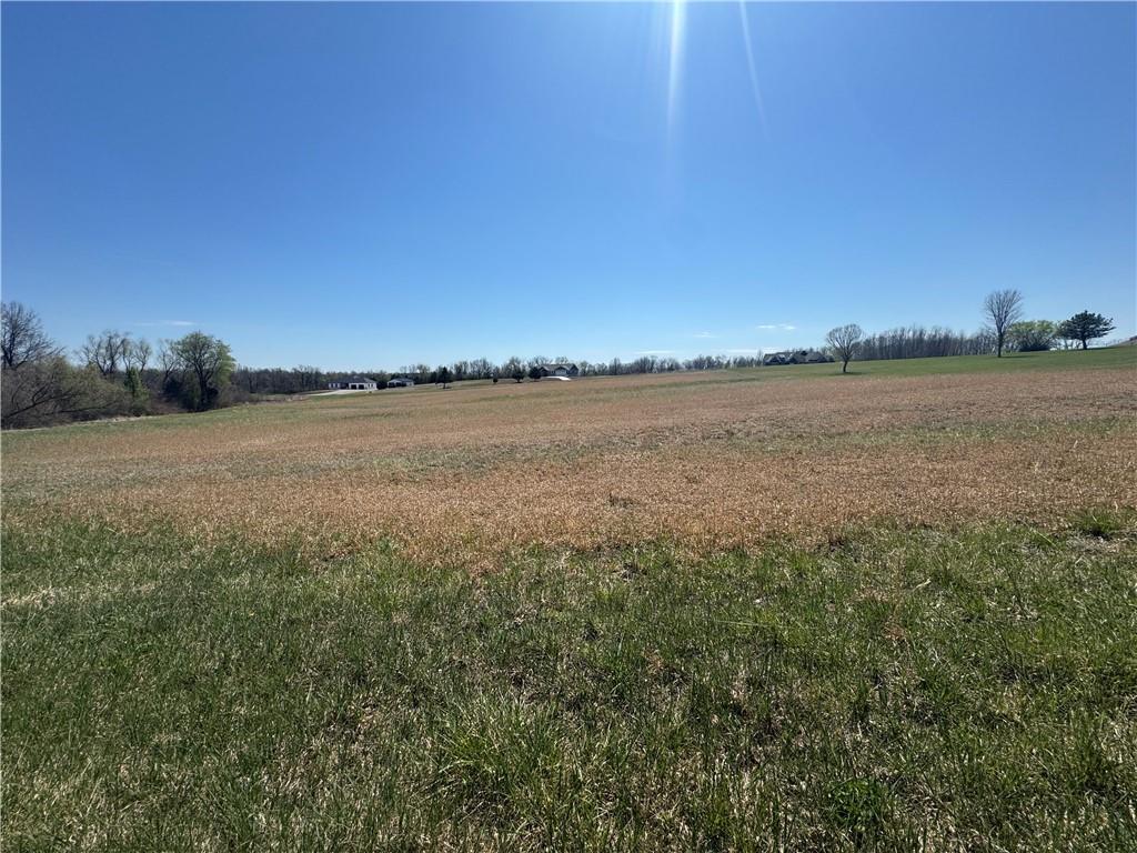 Listing Photo MLS #HMS2612646