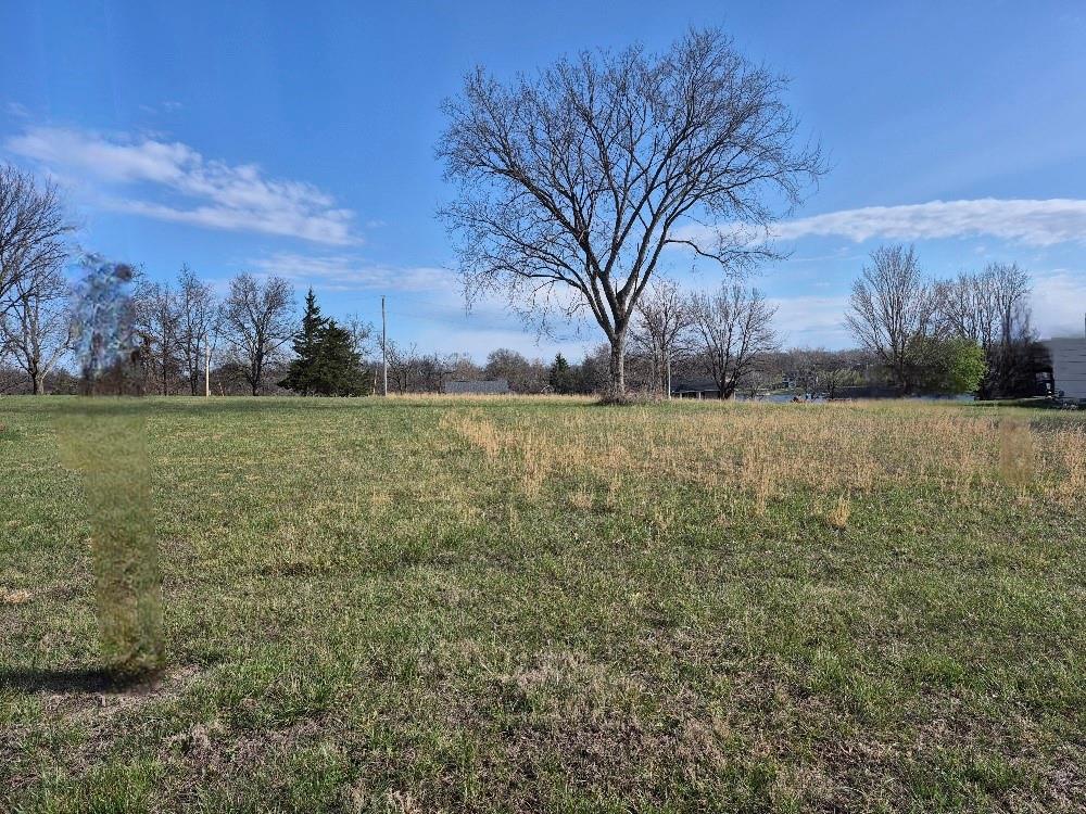 Listing Photo MLS #HMS2612694