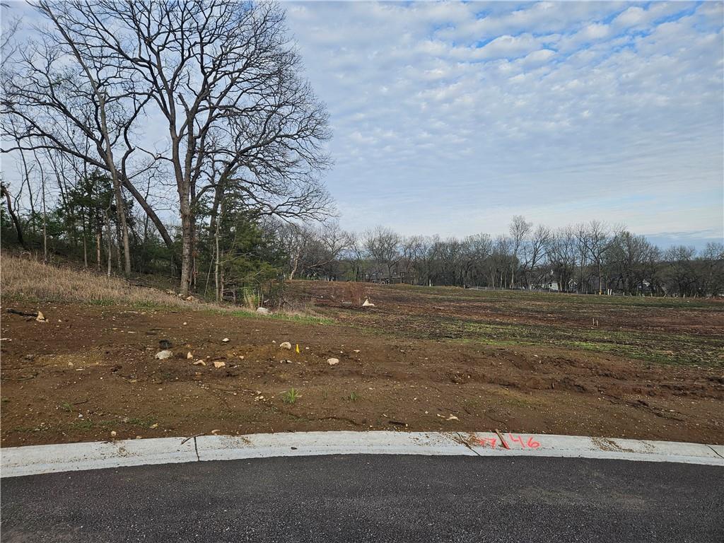 Listing Photo MLS #HMS2613649