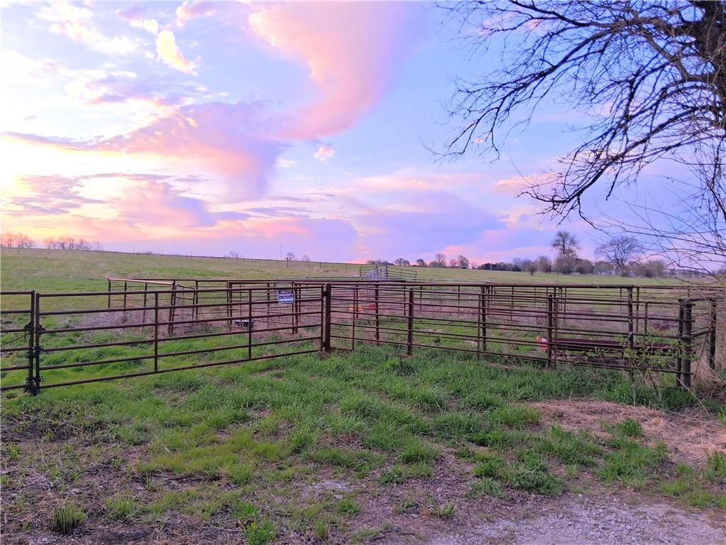 Listing Photo MLS #HMS2613753