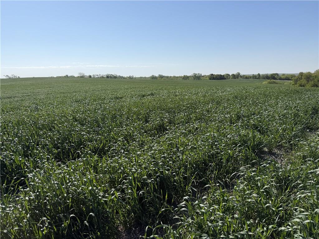 Listing Photo MLS #HMS2614420