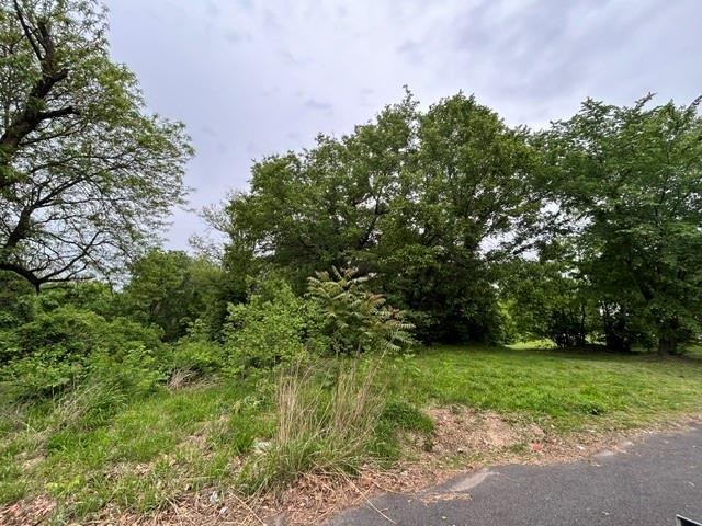 Listing Photo MLS #HMS2614698