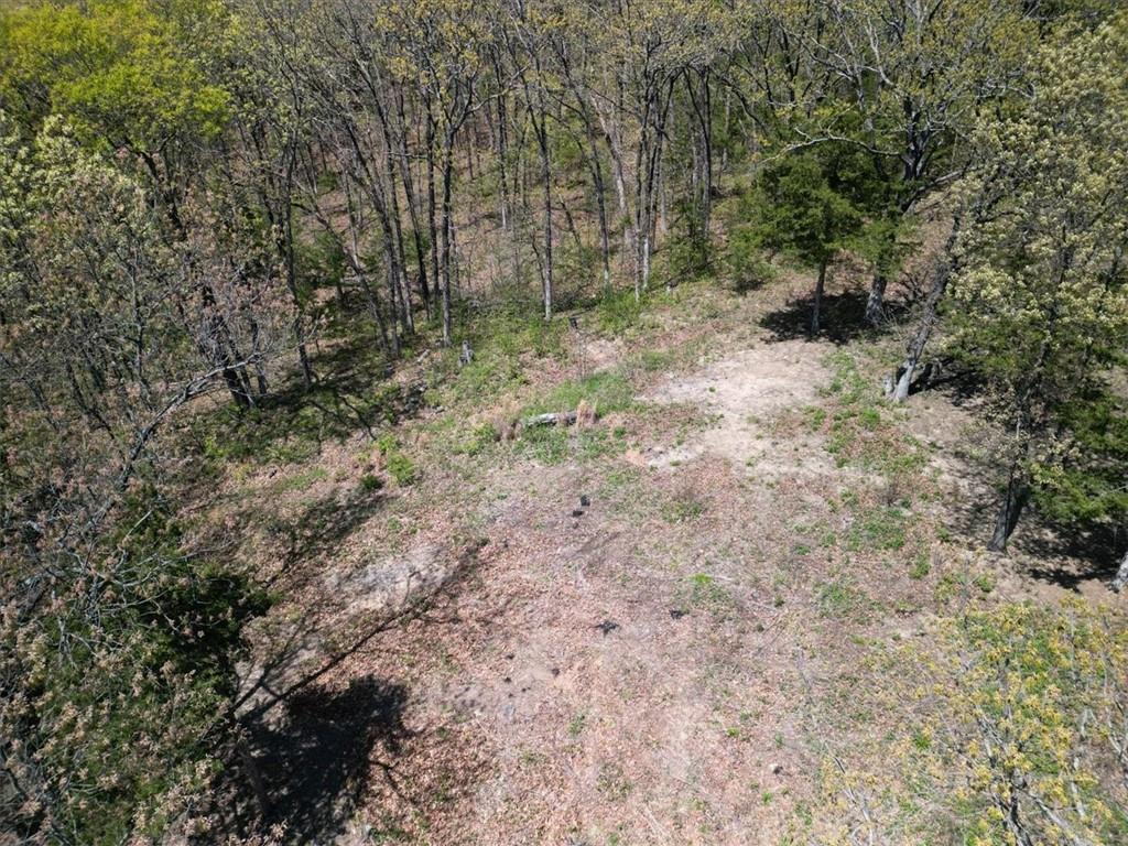 Listing Photo MLS #HMS2615455