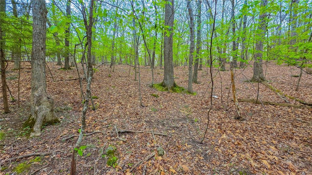 Listing Photo MLS #HMS2615759