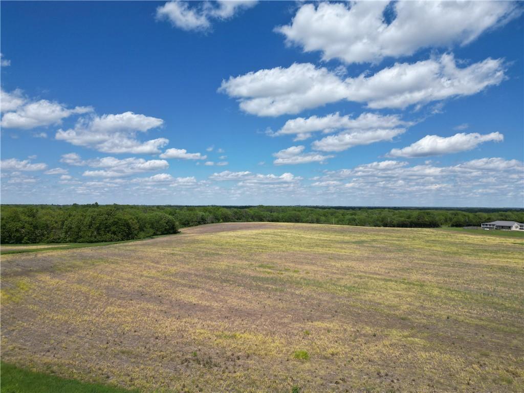 Listing Photo MLS #HMS2617696