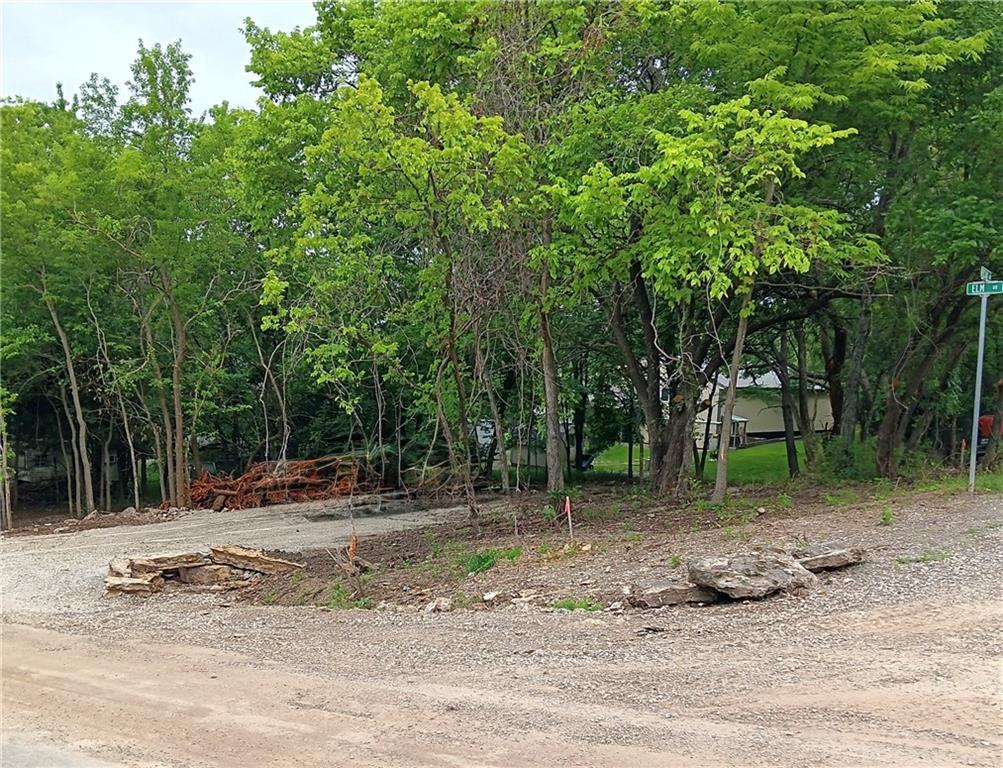 Listing Photo MLS #HMS2617986