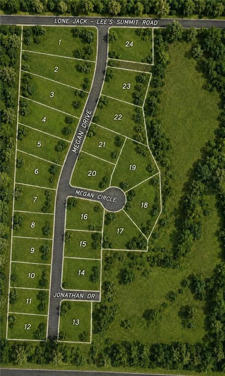 Listing Photo MLS #HMS2622262
