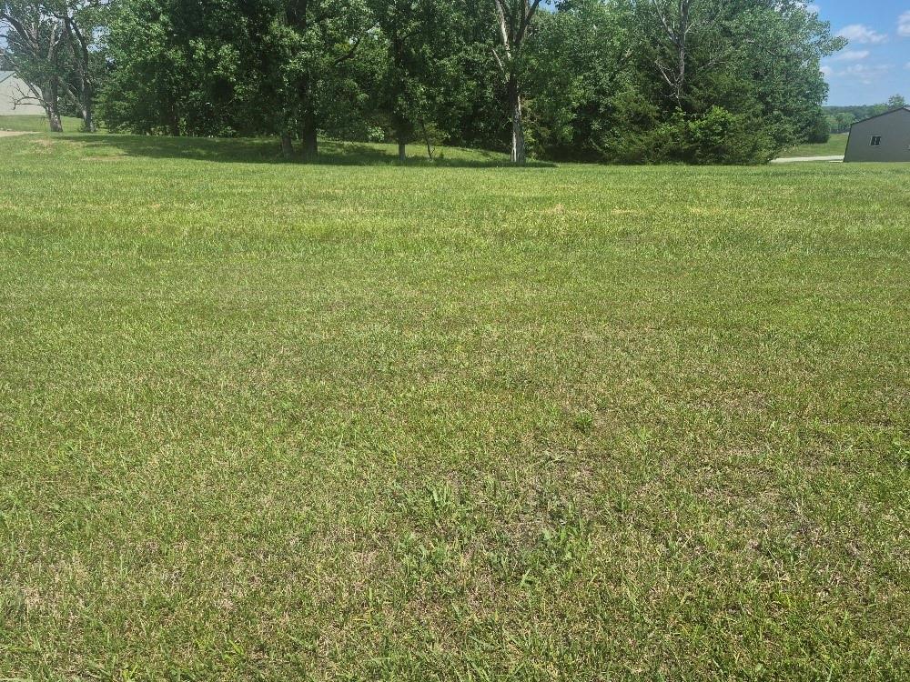 Listing Photo MLS #HMS2623454