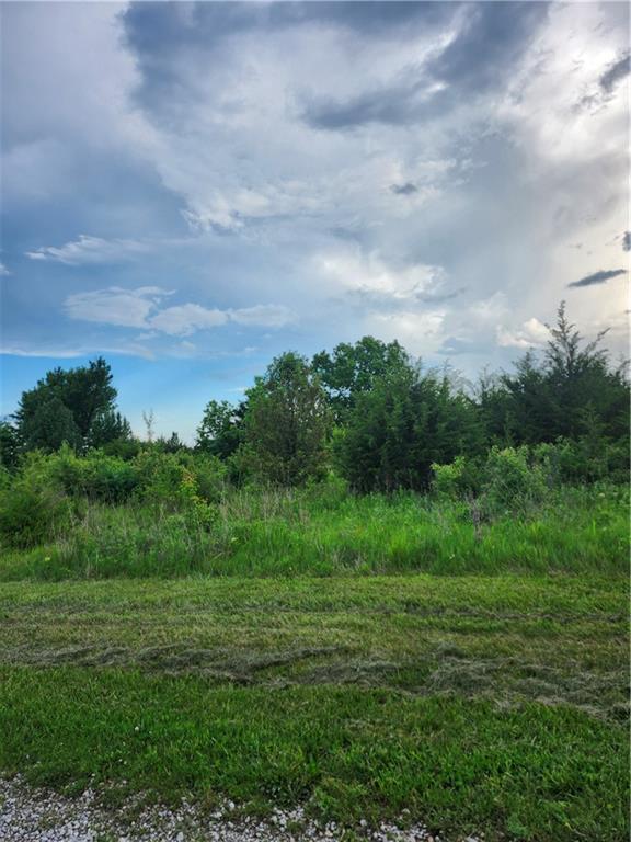 Listing Photo MLS #HMS2623606
