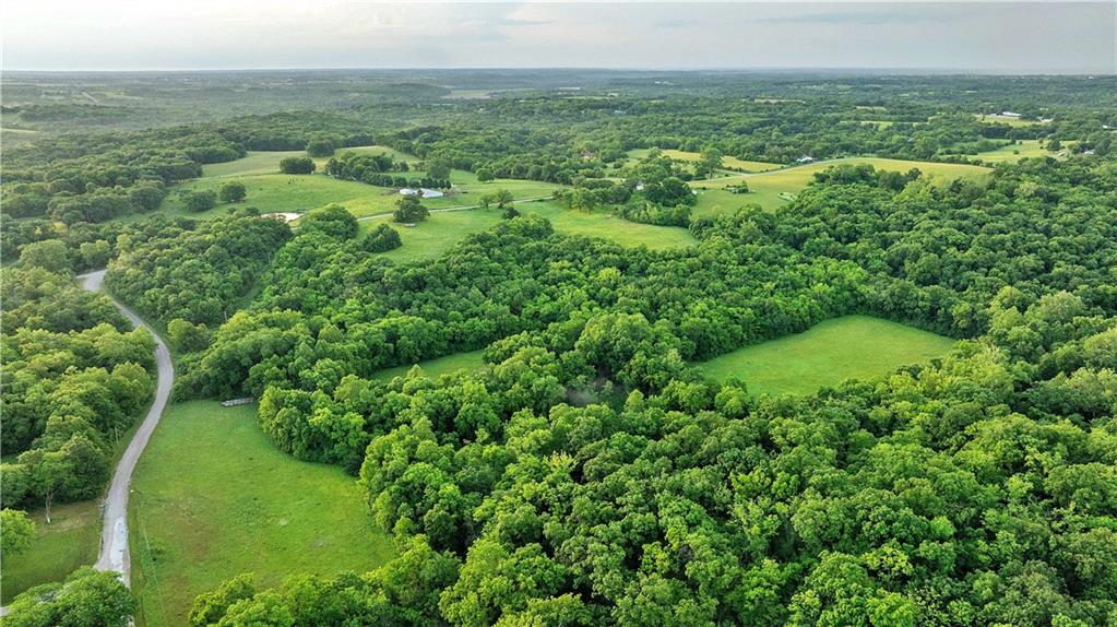 Listing Photo MLS #HMS2623874