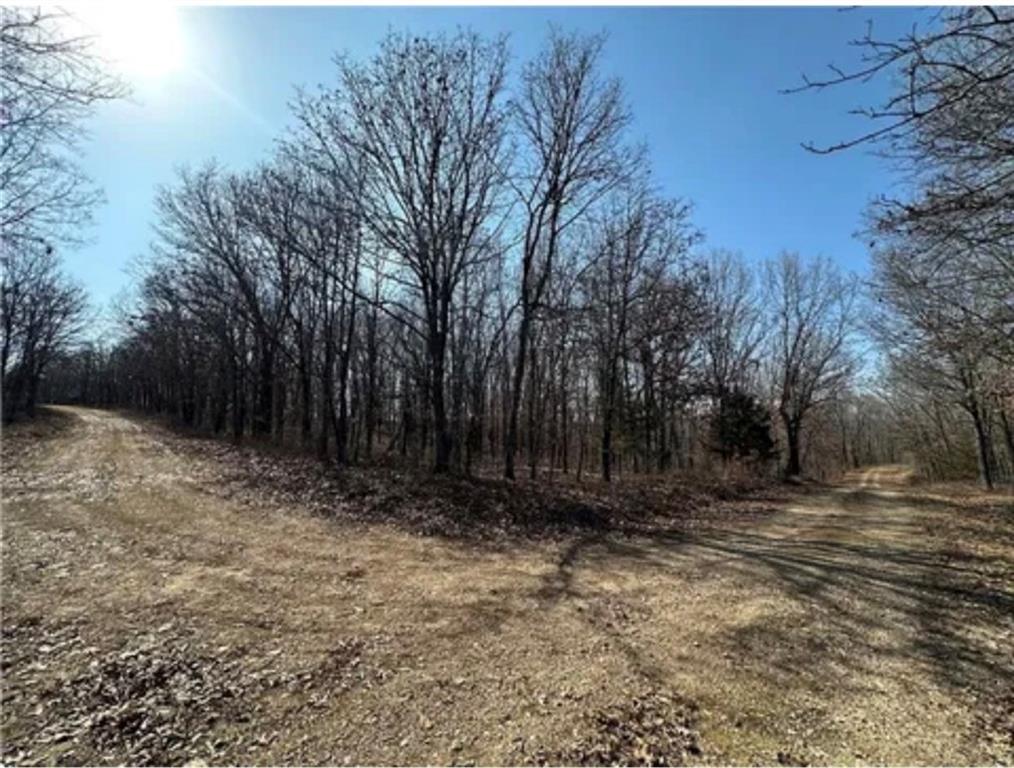 Listing Photo MLS #HMS2627351