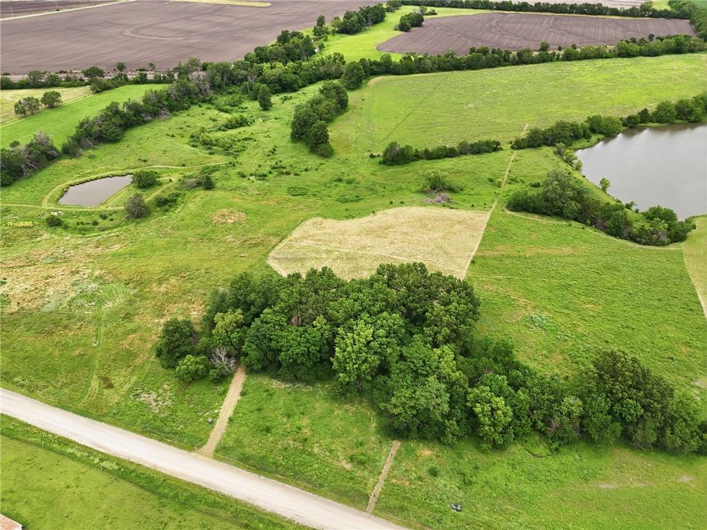 Listing Photo MLS #HMS2628075