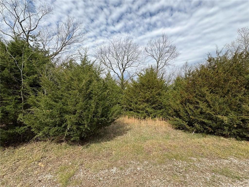 Listing Photo MLS #HMS2630826