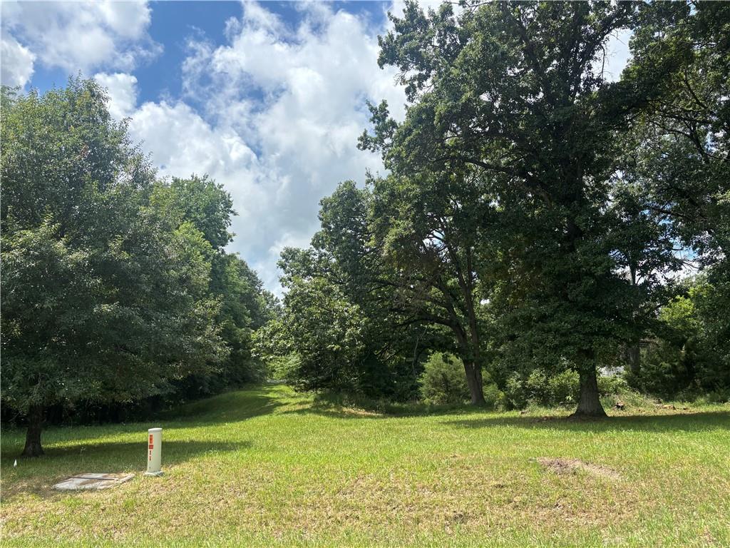 Listing Photo MLS #HMS2630863